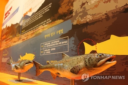 태화강 생태관