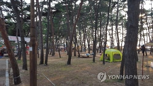 자료사진, 숲 야영장
