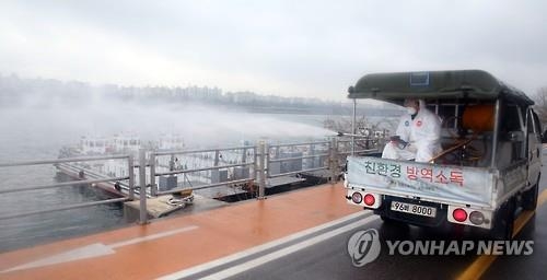 4·19 민주묘지 쇠기러기 고병원성 AI 확진…올해 세번째 - 1