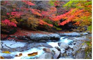 지리산 뱀사골