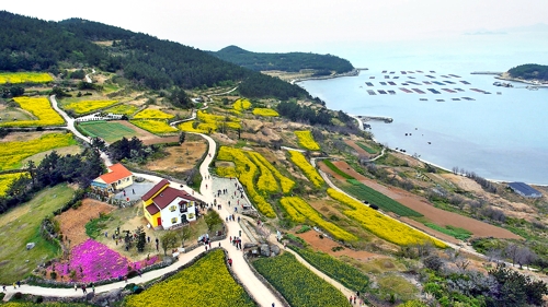 청산도 슬로길 전경