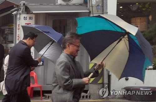 봄비와 함께 찾아온 심술궂은 바람