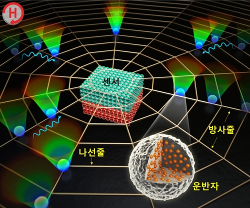 DGIST, 거미집 모방한 바이오센서 플랫폼 개발 - 1