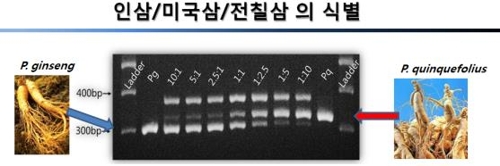"곰팡이 DNA로 살인사건 해결"…검찰, DNA 과학수사 연구 - 2