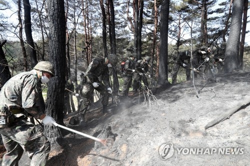 군 장병의 완벽한 잔불 제거 작전