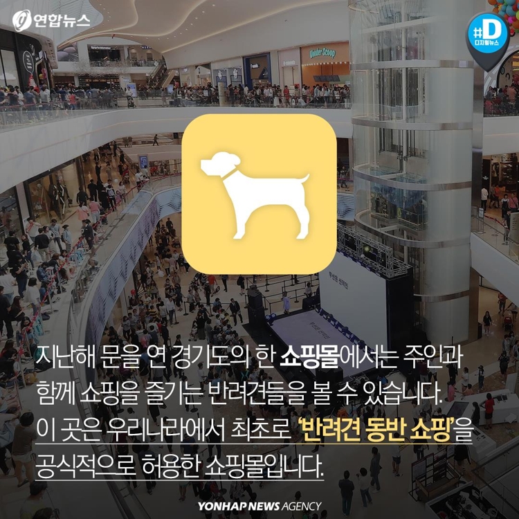 [카드뉴스] '반려견 동반 쇼핑몰' 등장에 갈리는 여론 - 2