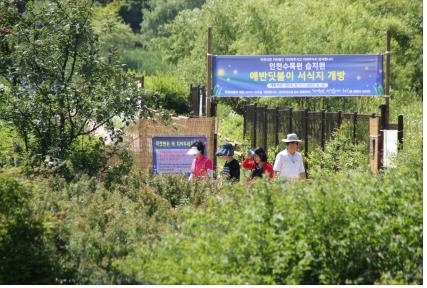 반딧불이 습지원 개방