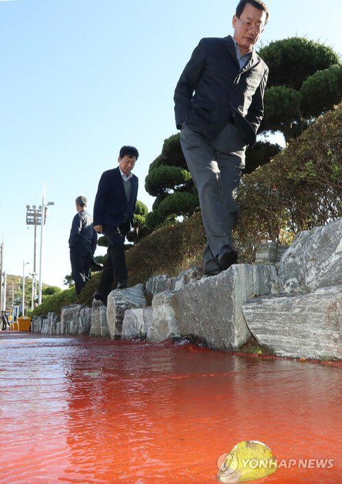 해수면 상승 시 상습침수 겪어온 동명동 사거리
