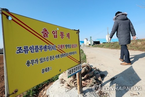여름에도 AI, 특별방역 종료 하루만에 발생…전국 확산 가능성은 - 1