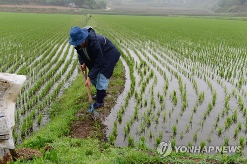 충북 8.4㎜ 단비, 해갈 역부족…저수율 52%까지 떨어져 - 1