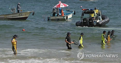 해운대 해파리 수거작전