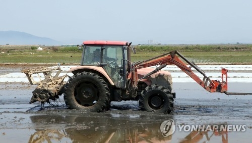 논 갈아엎기