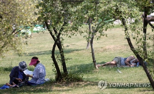 폭염이다 그늘오침