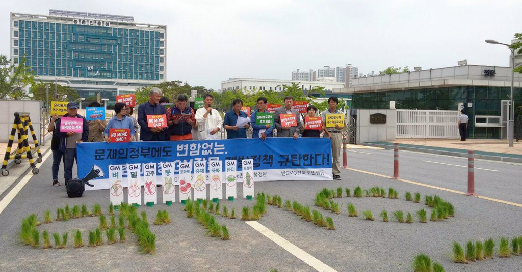 "정부 주도 GM 작물개발 중단하라"