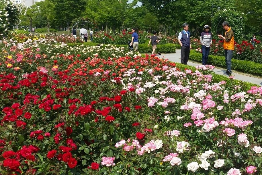 구리장자호수생태공원 장미원