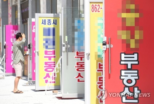 세종시 부동산 '개점휴업'