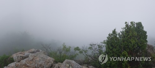 안개에 갇힌 사드기지