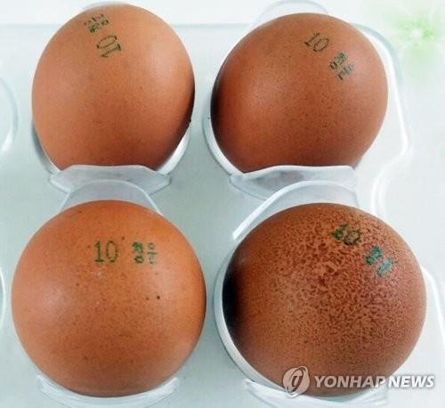 살충제 성분 검출된 계란