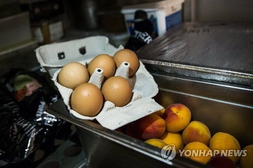 "獨 니더작센주에만 살충제 계란 3천500만개 유통" - 1