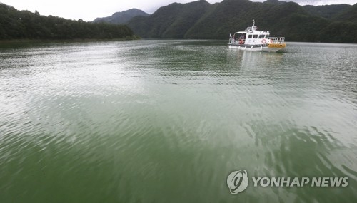 녹조 뒤덮인 대청호