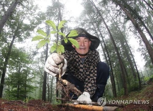 '먹고 보고 즐기고'…경남 곳곳 가을축제로 떠들썩 - 2