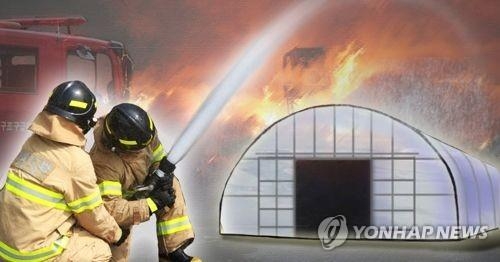 청주서 양계장 화재…닭 8천500마리 폐사 - 1