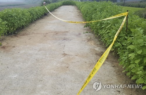 풀숲에 숨진 채 유기된 20대 여성 살해 용의자 긴급체포 - 1