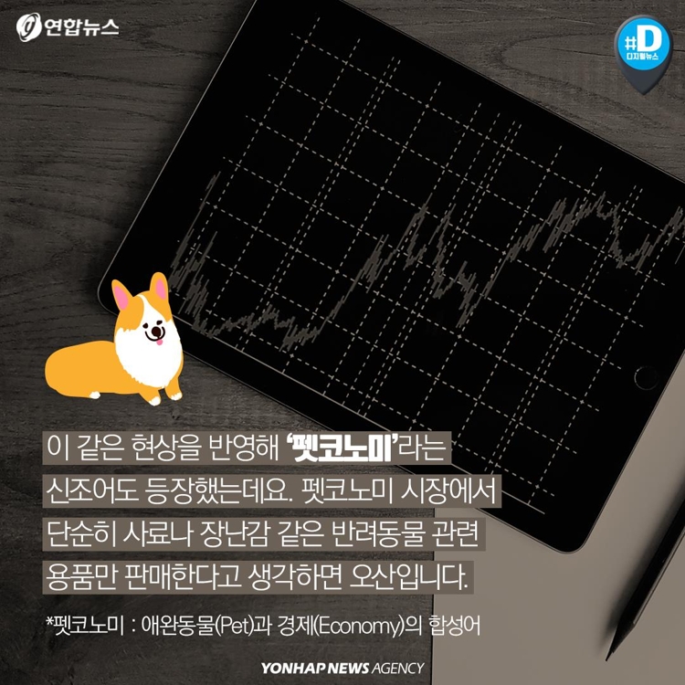 [카드뉴스] "가족이라면서요?"…유기동물 9만마리 육박 - 6