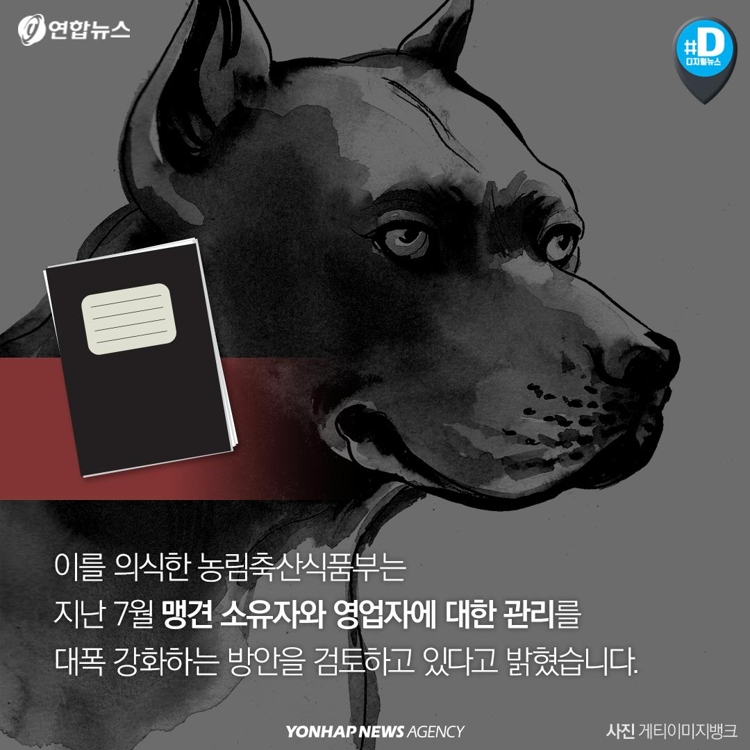 [카드뉴스] "우리 개는 안 물어요"…개주인 무책임에 대형사고 난다 - 12