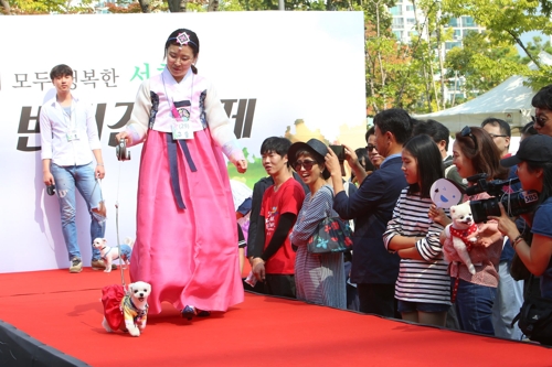지난해 반려견 축제 패션쇼의 모습