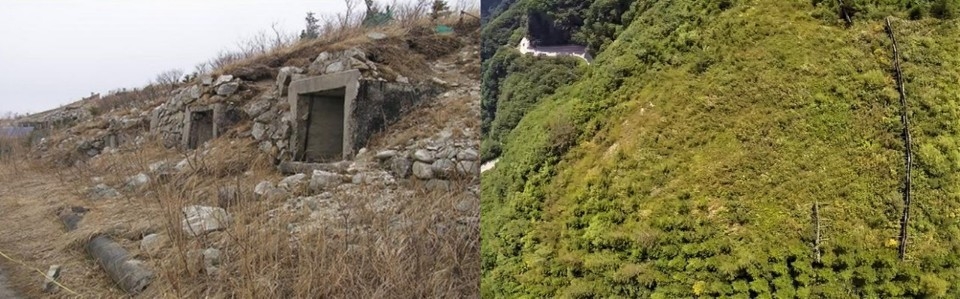 평창 대관령 복원 전후