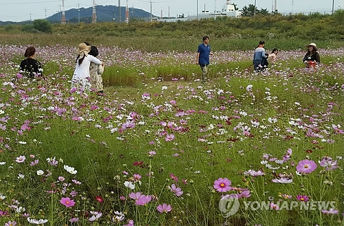 연합뉴스 자료사진