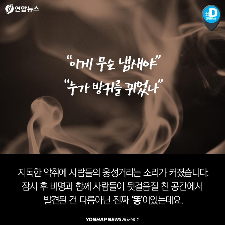 [카드뉴스] '지하철 천사'…객실 바닥 똥 묵묵히 치운 아주머니 - 3