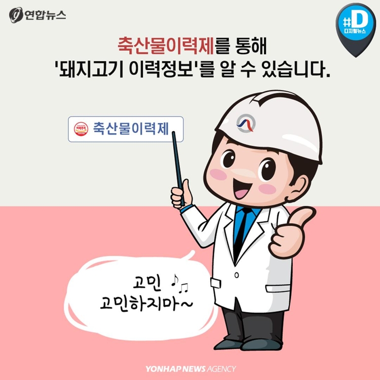 [카드뉴스] 제주산 vs 육지산 구별법… 육지 돼지, 웰컴 투 제주 - 7