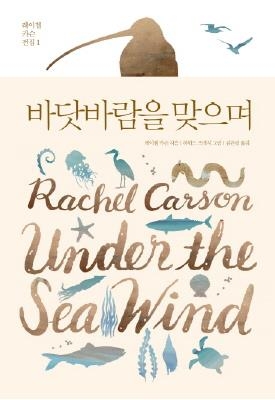'침묵의 봄' 레이첼 카슨의 글쓰기는 바다생명체에서 시작됐다 - 2