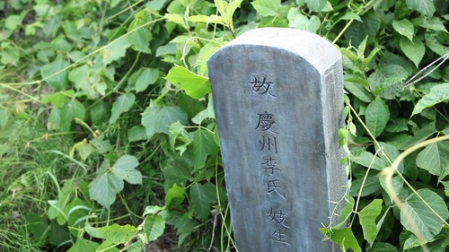 '월하'