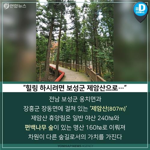 [카드뉴스] 새해맞이 나들이 '숲속의 전남' 어떨까요? - 2