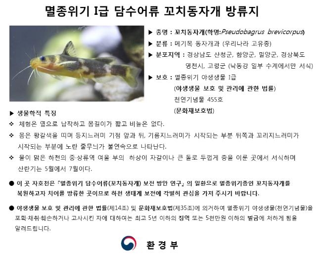 꼬치동자개 방류지에 설치할 입간판