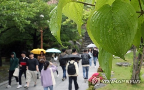봄비 '뚝뚝'