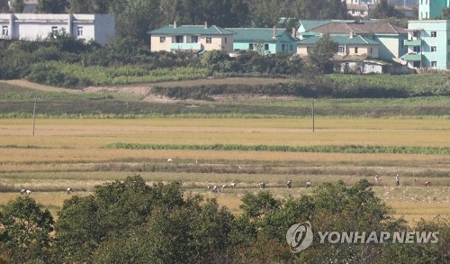 농사짓는 북한 주민들