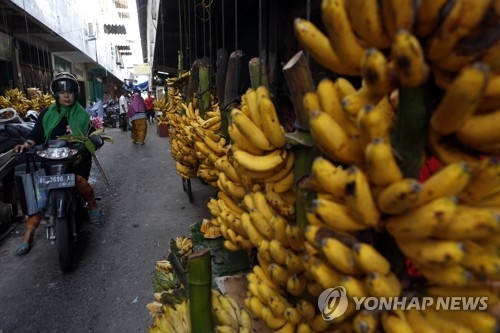 인도네시아의 한 바나나 상가 거리[EPA=연합뉴스 자료사진]