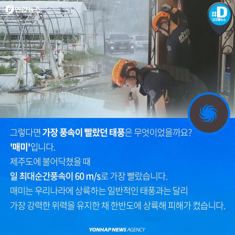 [카드뉴스] 비바람 동반하는 태풍…역대 최악은 - 8