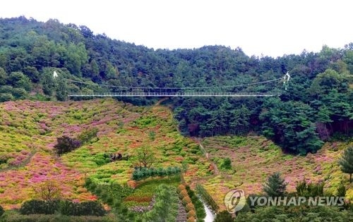 봉화산 출렁다리 조감도