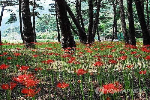 성주산 자연휴양림