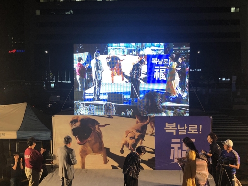 복날은 가라 문화제