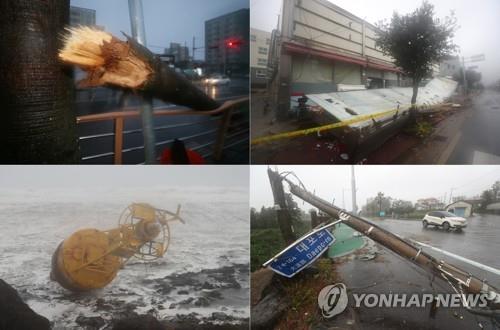 '태풍 길목' 제주 피해 속출