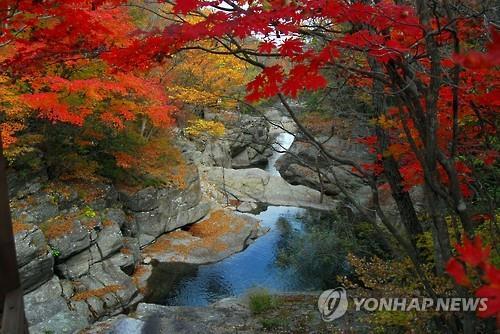 지리산 뱀사골 단풍