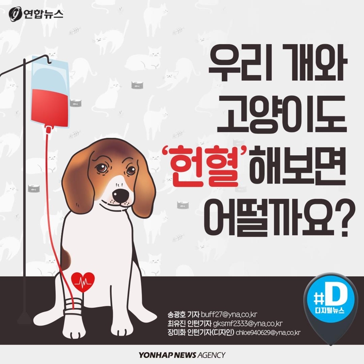 [카드뉴스] 우리 개와 고양이도 헌혈해보면 어떨까요? - 2