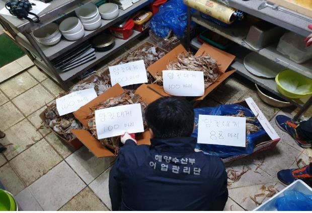 불법 대게 유통 단속 사진