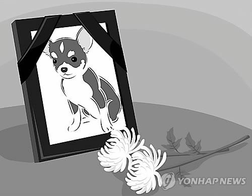 편집 김민준아이클릭아트 그래픽 사용